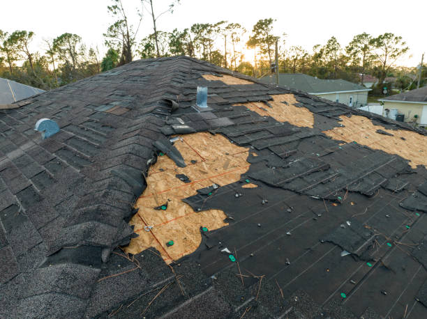 Best Asphalt Shingles Roofing  in Batesville, IN